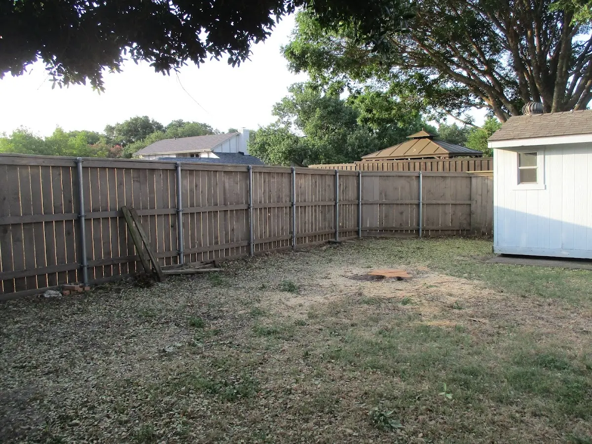 Cleared yard after professional tree removal in East Glastonbury