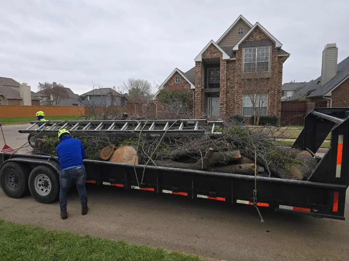Expert Tree Fertilization with proper safety equipment in East Glastonbury